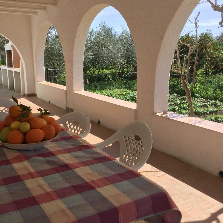 El Cortijo De La Abuela Guest House Benahadux Екстериор снимка