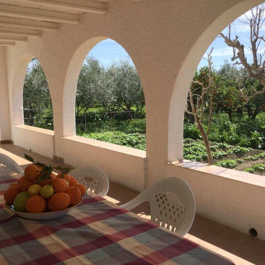 El Cortijo De La Abuela Guest House Benahadux Екстериор снимка